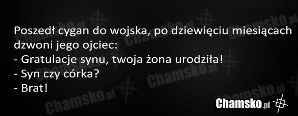 Cygan w wojsku