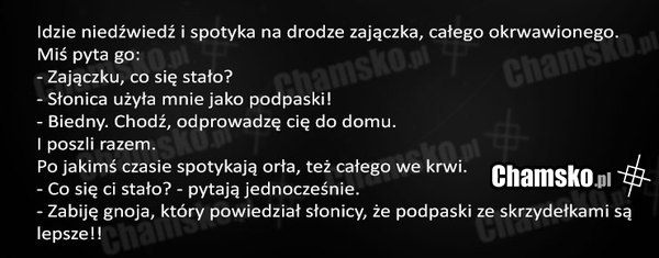 Niedźwiedź i zajączek
