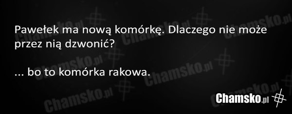Nowa komórka