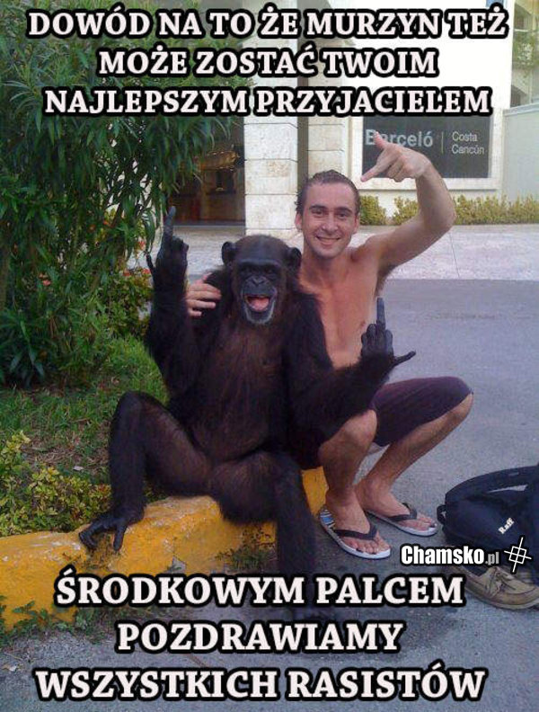 Dowód