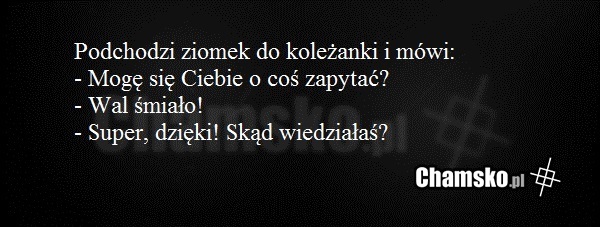 Pytanie