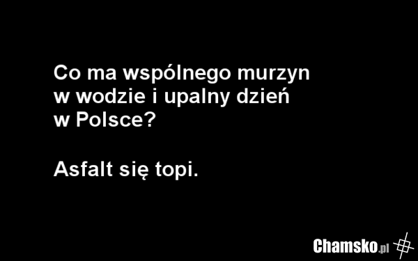 Zagadka