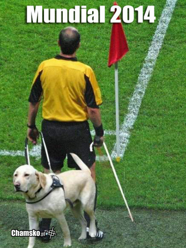 Sędziowie na Mundialu 2014