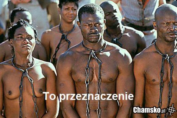 Przeznaczenie