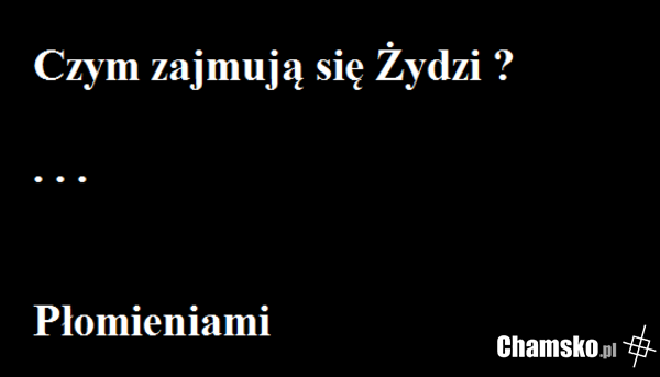 Zajęcie