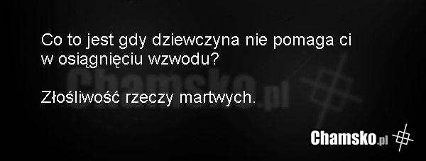 Wzwód