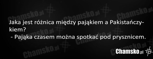 Zagadka logiczna