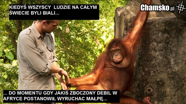 SKĄD SIĘ WZIĘLI MURZYNI...