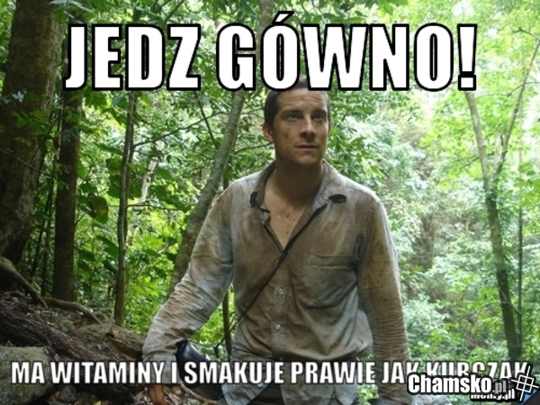 pamiętaj jedz gówno XD