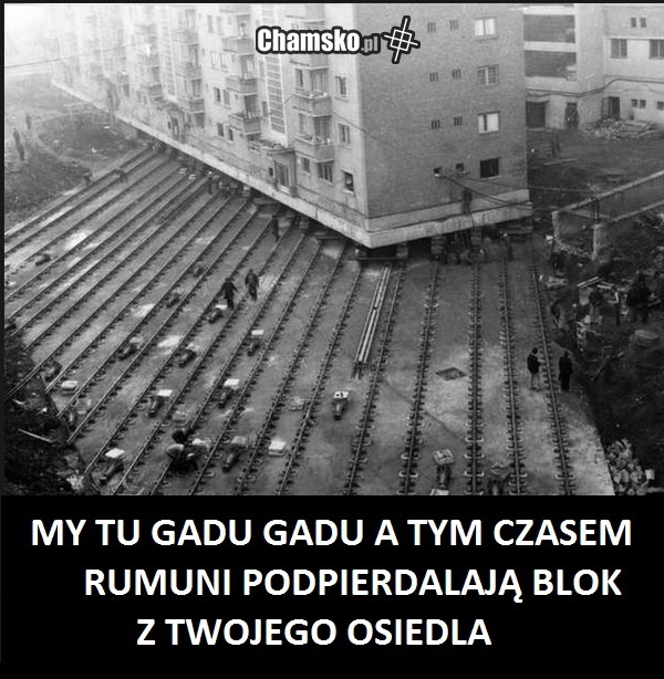 Rumuny złodzieje