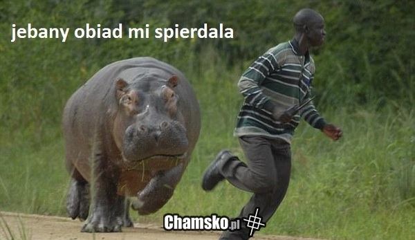Co ten obiad taki szybki?