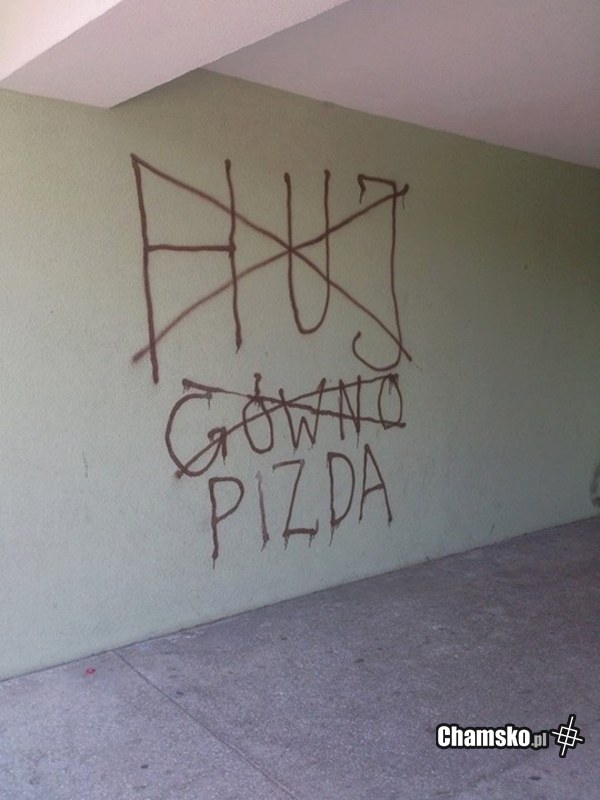 Mądrości z polskich murów
