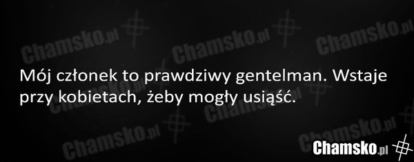 Dobry penis