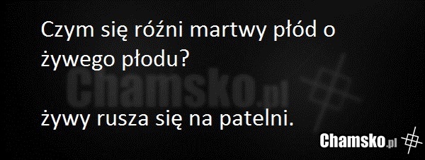 żywy płód