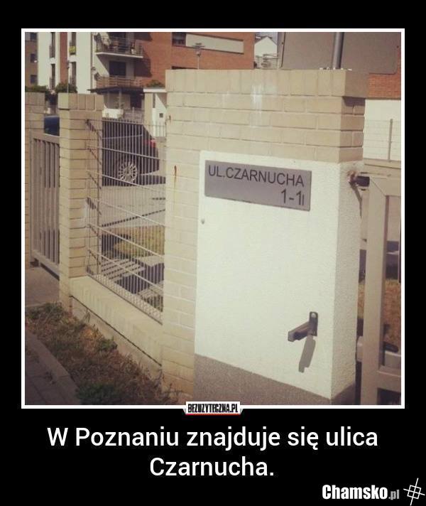 każdy ma swoje miejsce :)