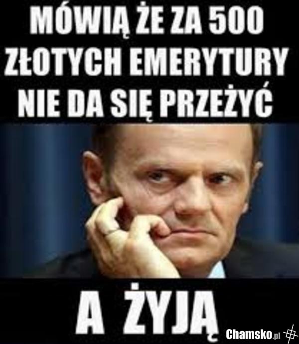 Rozkmina tuska