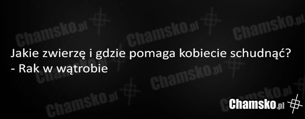 Sposób na schudnięcie