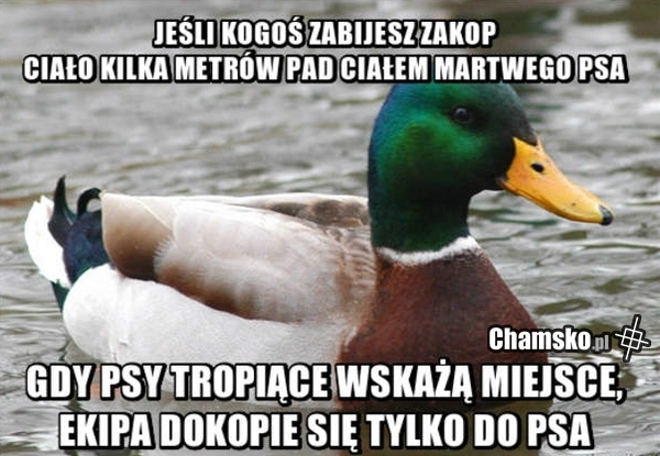 Dobra rada na dziś