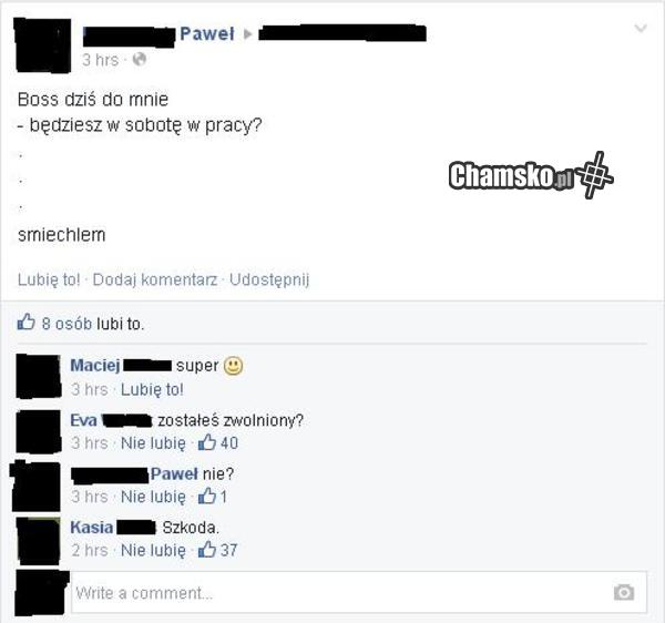 Kozak w pracy