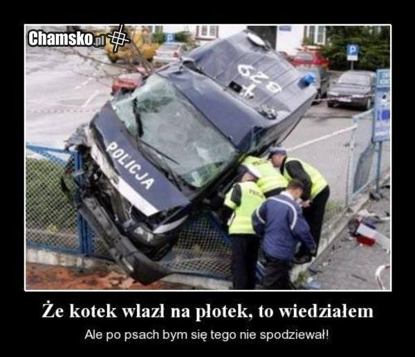 Wlazł piesek na płotek huhu :D