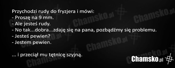 Rudy u fryzjera