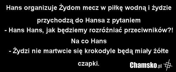 Żyd