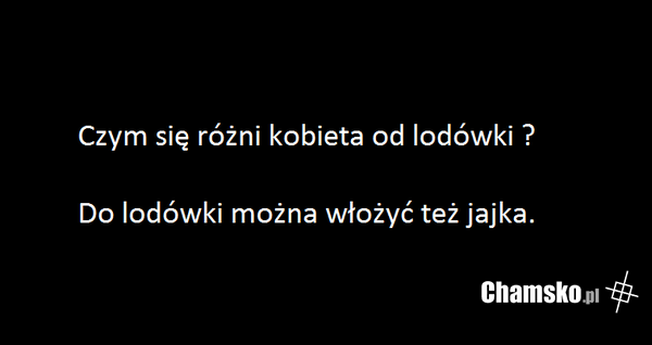 Kobieta a lodówka