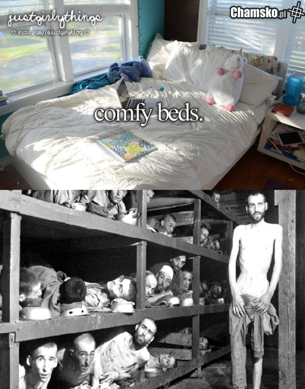 Comfy beds