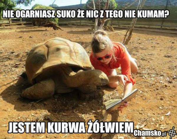 Czytanie książki