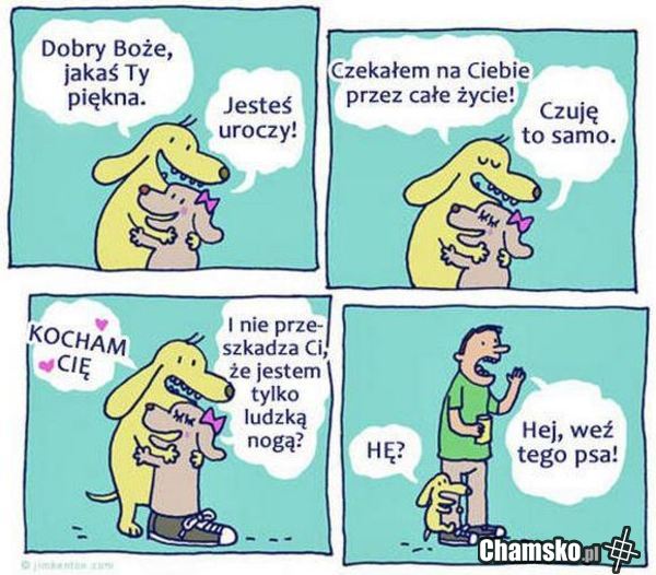 Prawdziwa miłość
