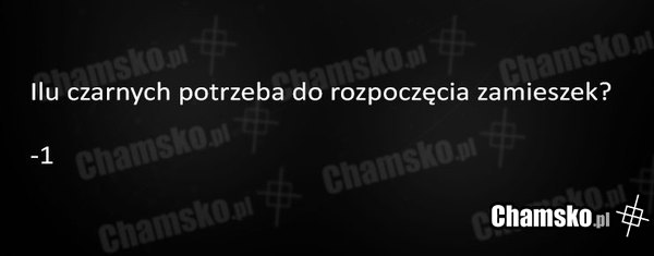 Zamieszki