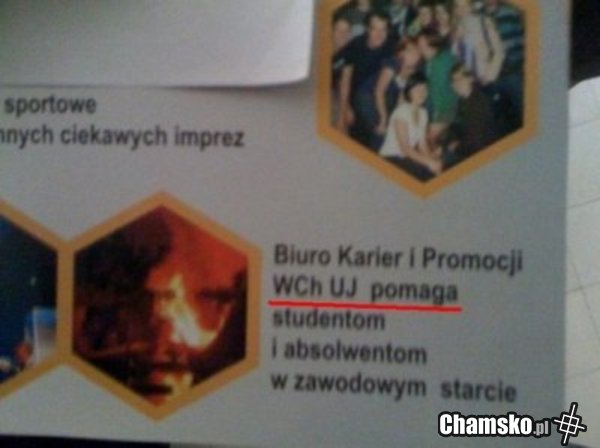 Niezła nazwa