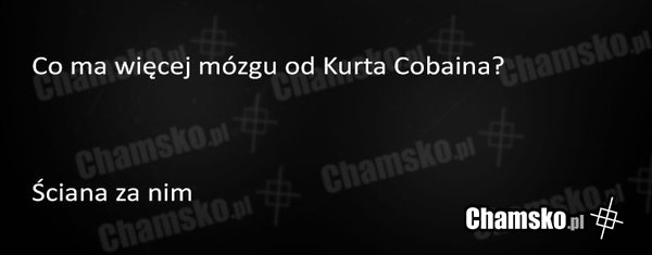 Mózg Curta
