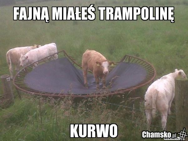 Trampolina