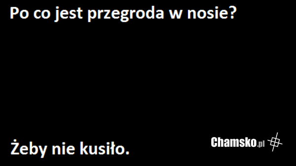 Przegroda