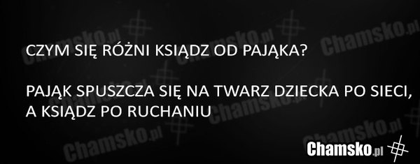 Ksiądz a pająk