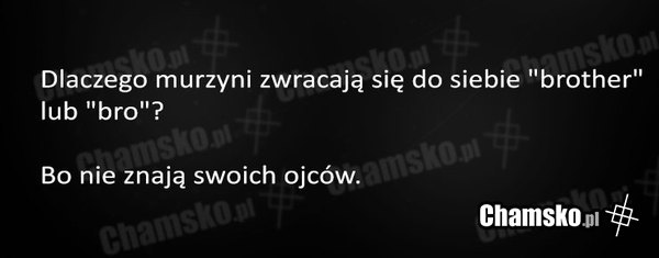 Czarny slang