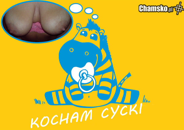 KOCHAM CYCKI