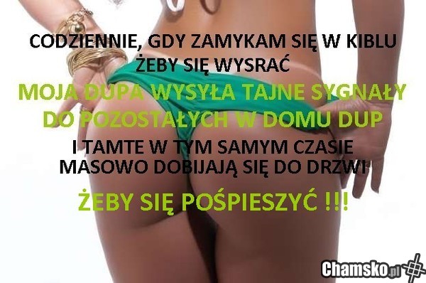 Jak chcesz się spokojnie wysrać.....