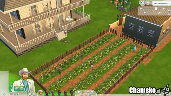Sims 4 - załóż plantację bawełny!