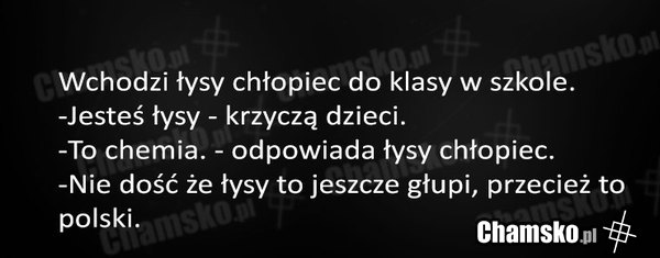 Głupi łysol