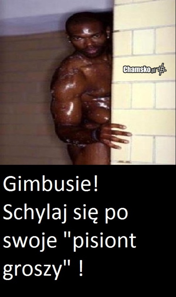 Lubisz to suko!
