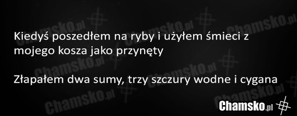 Przynęta