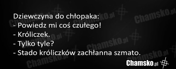 Coś słodkiego