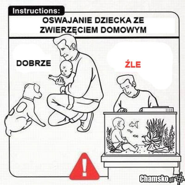 Instrukcja dla faceta