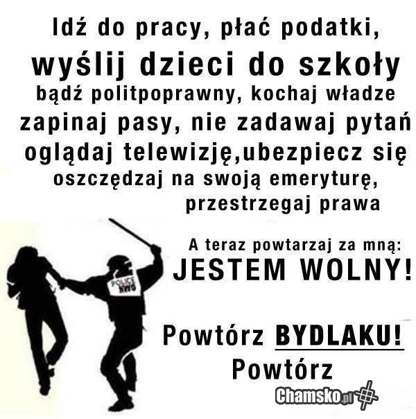 przestrzegaj prawo