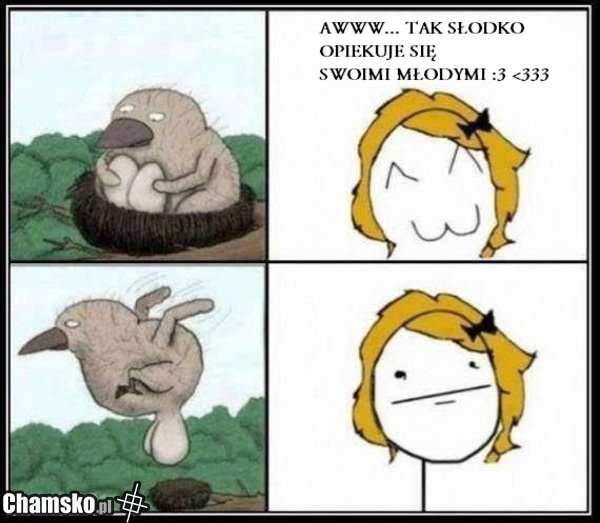 JAJA