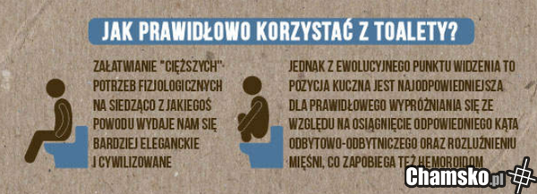 Nawet wysrać się nie potraficie