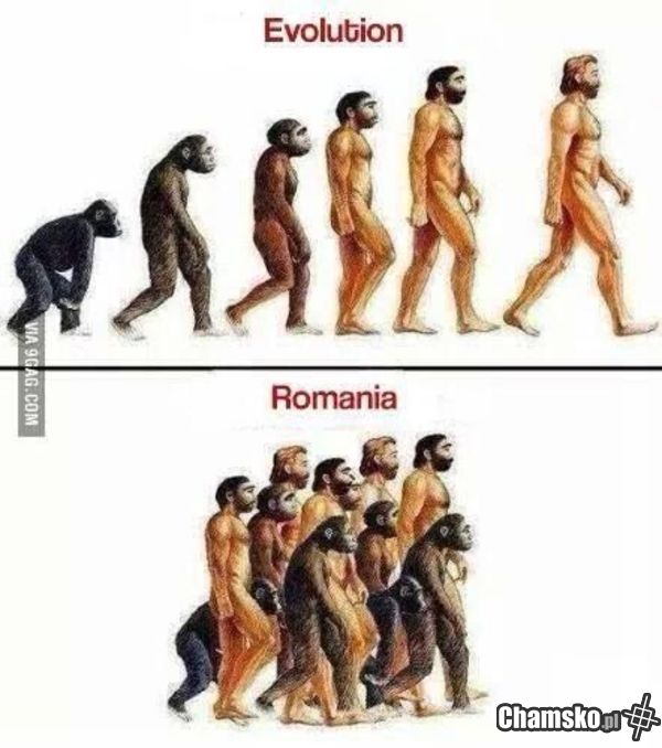 Ewolucja