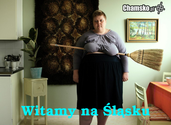 Witamy na Śląsku
